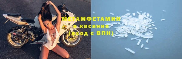 шишки Белоозёрский