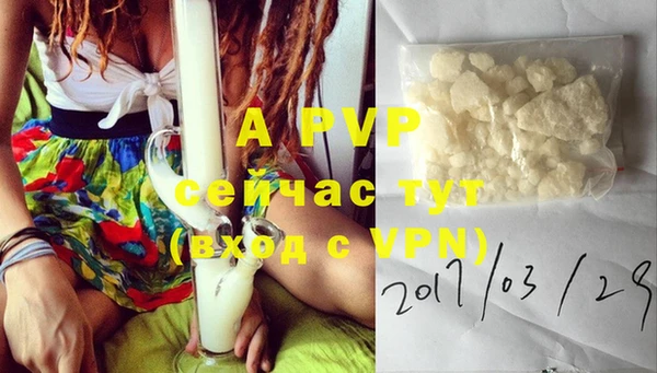 шишки Белоозёрский