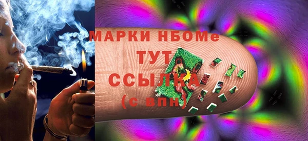 шишки Белоозёрский