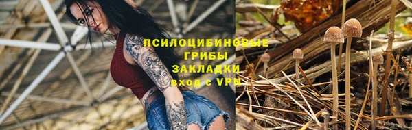 шишки Белоозёрский