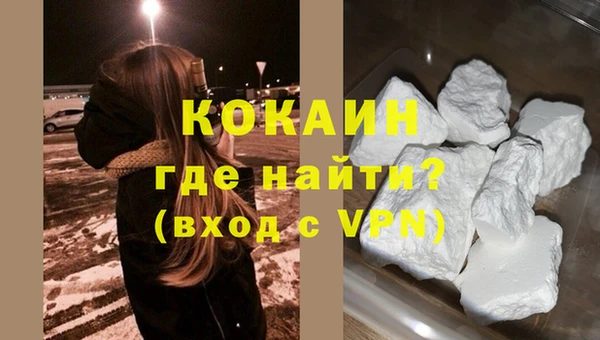 шишки Белоозёрский