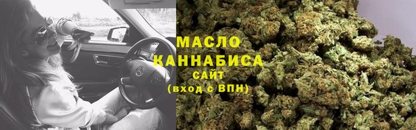 шишки Белоозёрский