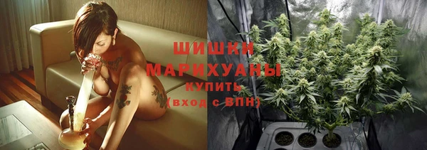 шишки Белоозёрский