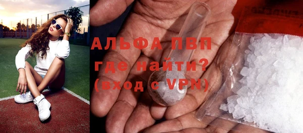 шишки Белоозёрский